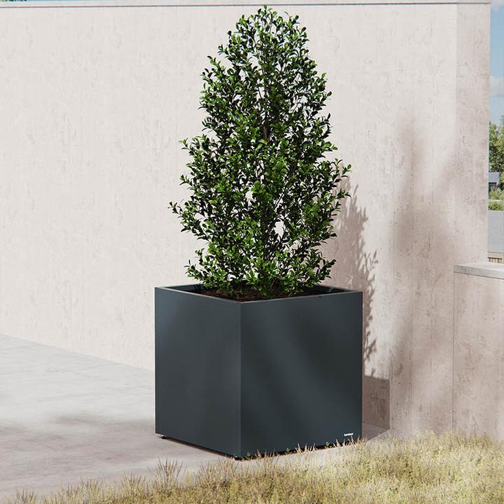 Image du produit Herstera Cube (60 cm)
