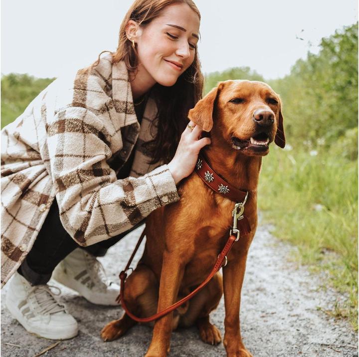 Produktbild Hunter Halsband München für Hunde 55 (Hund, Allgemein)