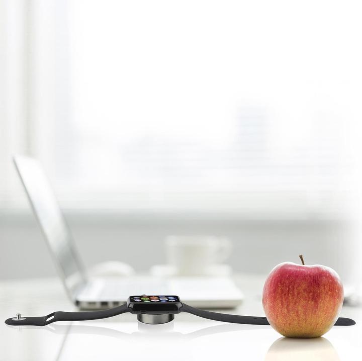 Actual product image 4smarts 462550 Charger for mobile devices silver