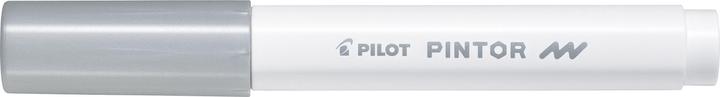 Image du produit Pilot Pintor Fin métallisé (Silver, 1 mm, 1 x)