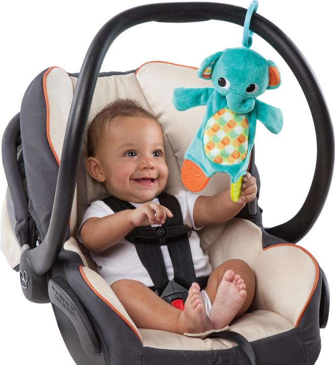 Image du produit Bright Starts Snuggle & Teethe