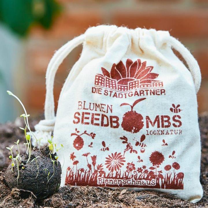Actual product image Die Stadtgärtner Seed bombs bee feast (Flower seeds)
