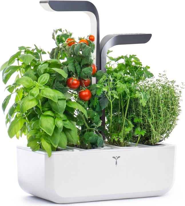 Image du produit Véritable Connect Indoor Garden (18 cm)