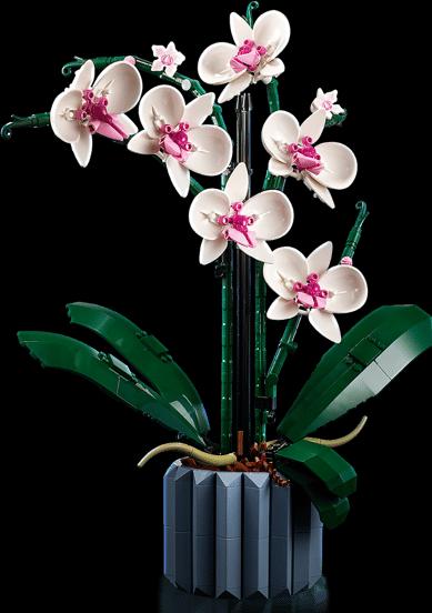 Productafbeelding LEGO Orchidee (10311, LEGO Botanisch)