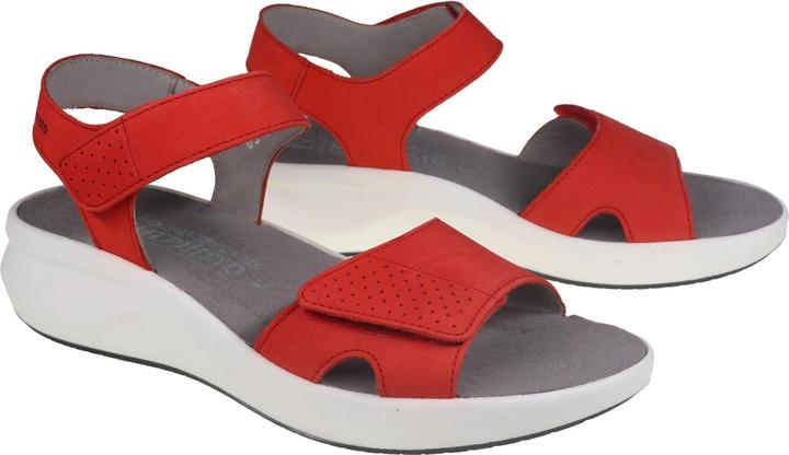 Mephisto Tany (41)