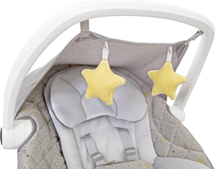 Actual product image Graco Move With Me With Canopy