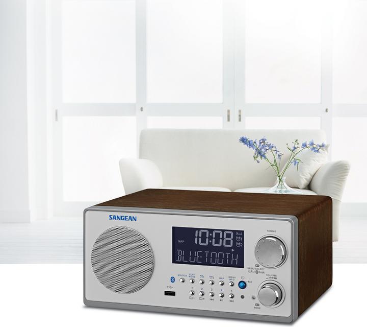 Immagine prodotto Sangean Wr-22 (FM, AM, Bluetooth)