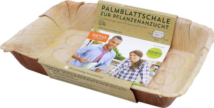 Produktbild Siena Garden Pikierschale