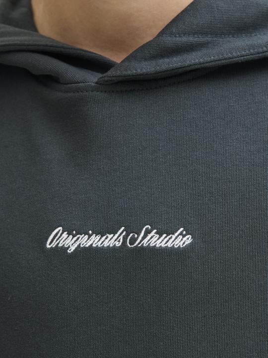 Actual product image Jack & Jones Jornorrebro Emb Sweat Hood Noos Jnr (140)