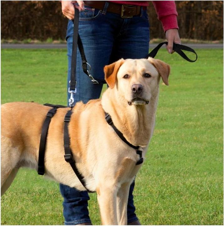 Actual product image Trixie Special harness Stay at risk of escape (L, XL, Dog, Dog sport)