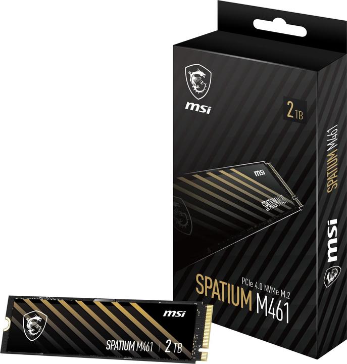 Actual product image MSI Spatium M461 (2000 GB, M.2 2280)