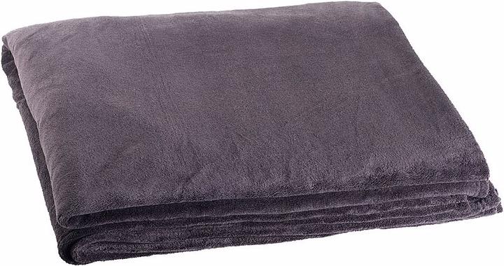 Produktbild Wilson Gabor XXL-Luxus-Kuscheldecke aus Mikrofaser (220 x 240 cm)