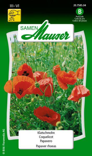 Image du produit Samen Mauser Coquelicot de maïs (Graines de plantes)