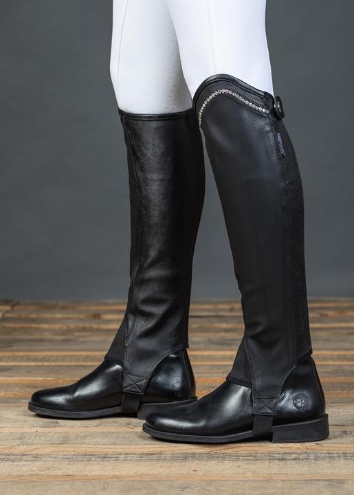 Produktbild Harry's Horse Asteroid (L)