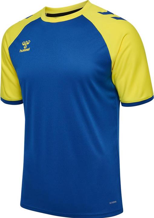 trueblueblazingyellow