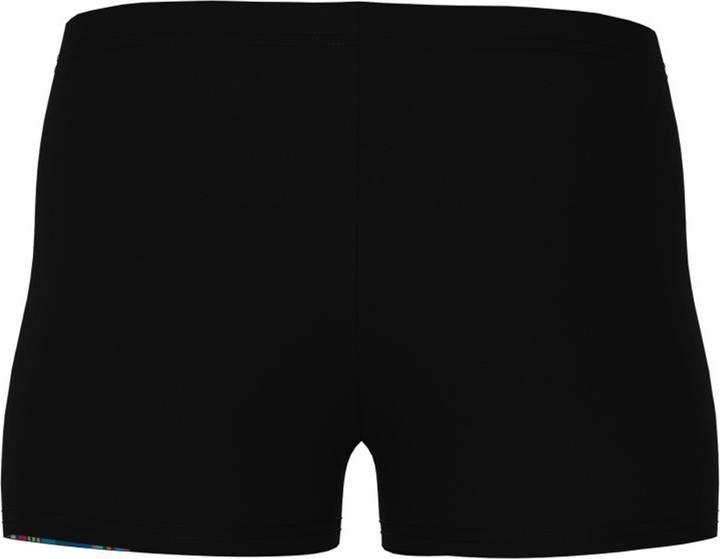 Actual product image Arena B Palette Swim Short (164)