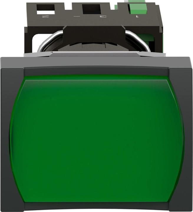 Produktbild Schneider Electric Leuchtdrucktaster grün
