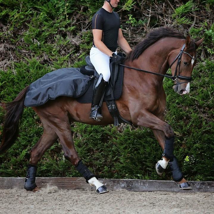 Immagine prodotto Back on Track Coprire il rene impermeabile court