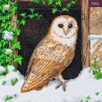 Immagine prodotto Craft Buddy Gufo delle nevi, 30x30cm Crystal Art Kit