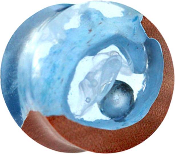 Star Piercing Flared Plug Perle in Höhle Epoxy blau aus Saba Holz (ohne Messing, Organisch)