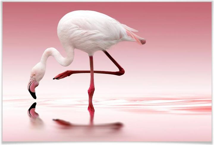 Image du produit Trenddeko Reindl - Flamant rose (120 x 80 cm)