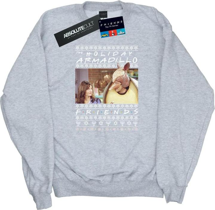 Friends Fair Isle Holiday Armadillo Sweatshirt (S)