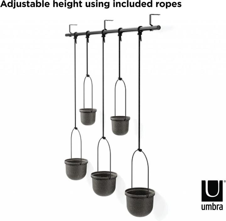 Image du produit Umbra Triflora (137 cm)