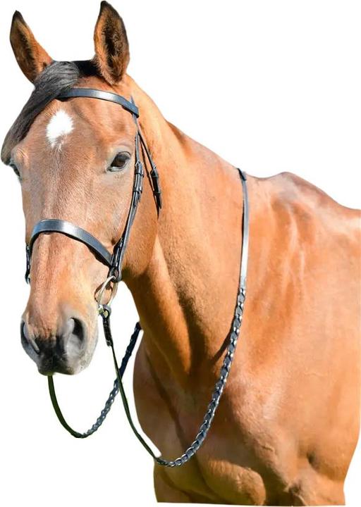 Kincade Classic Leather Horse Flat Hunt Bridle With Reins