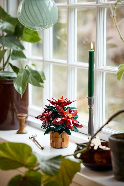 Productafbeelding LEGO Kerstster (10370, LEGO Icons)
