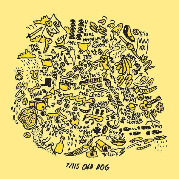 Ce vieux chien (Mac Demarco, 2017)