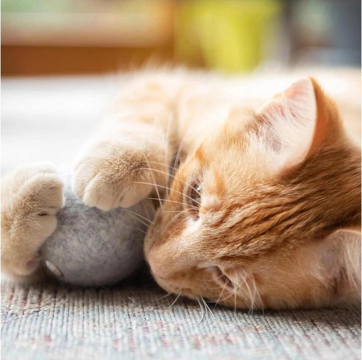 Actual product image CanadianCat Cat toy felt ball with scent bag (Cat ball toy)