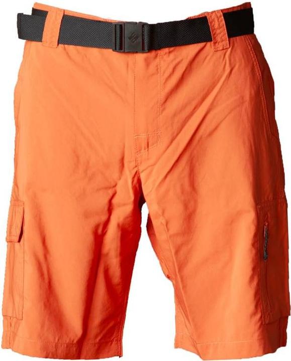 Image du produit Columbia Short Cargo Silver Ridge™ Utility Homme (36)
