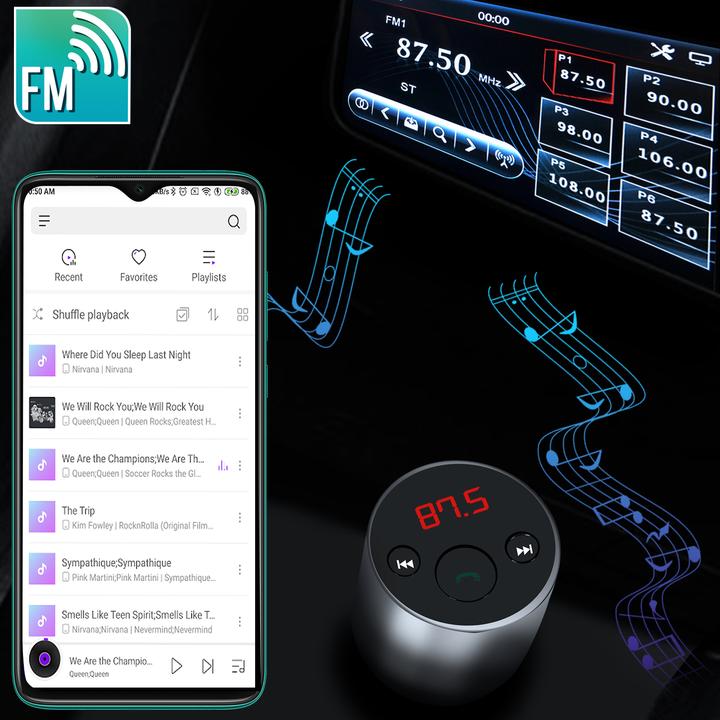 Actual product image Avizar FM transmitter