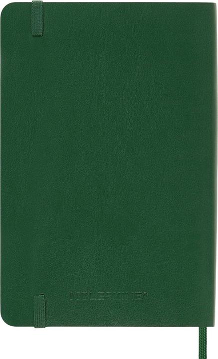 Actual product image Moleskine 12M Daily L Planner (21 x 13 cm)