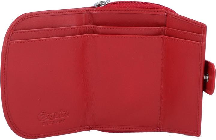 Immagine prodotto Esquire Nuovo portafoglio in pelle di seta 10,5 cm
