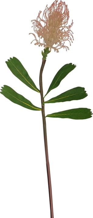 Produktbild HTI-Living Frühlingsblume weisse Blüte Kunstpflanze (74 cm)