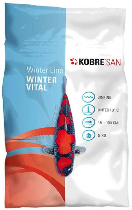 Image du produit Kobre San Ligne d'hiver (Poisson rouge)