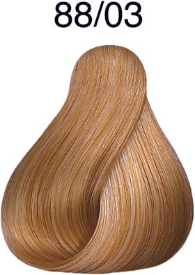 Image du produit Wella Color Touch Plus (88/03 blond clair blond clair intense naturel-or intense)