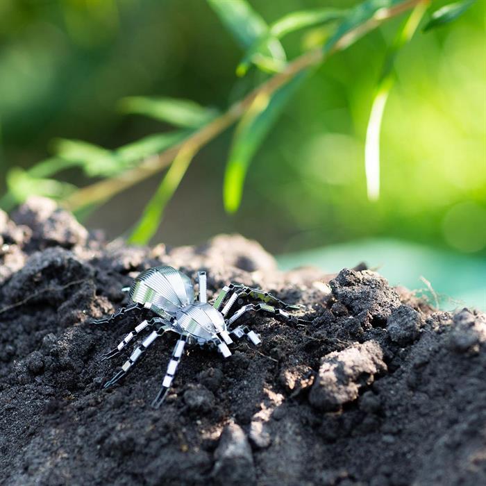 Image du produit Metal Earth Tarantula