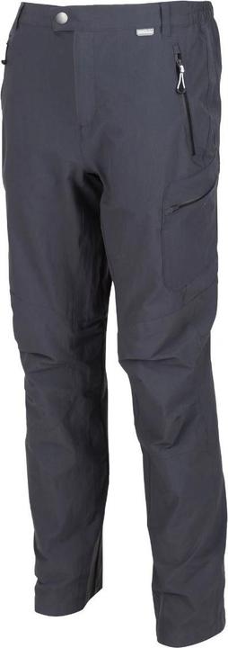 Actual product image Regatta M's Highton Trousers (42)