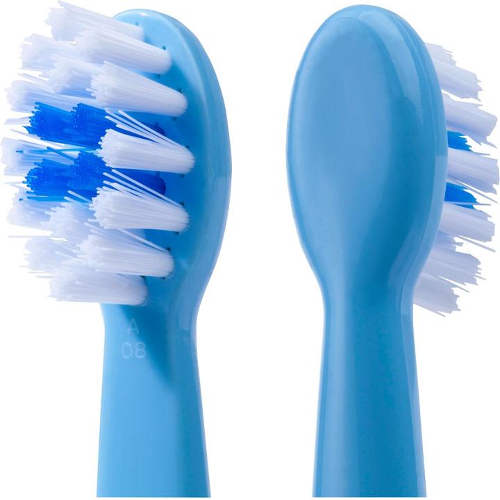 Actual product image Elmex Training 0-2 years Soft (Soft, 1 x)