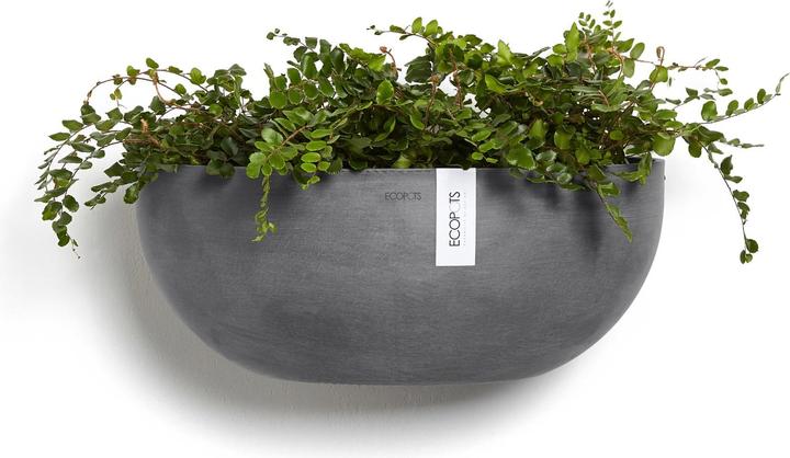 Produktbild Ecopots Sofia Wall (43 cm)
