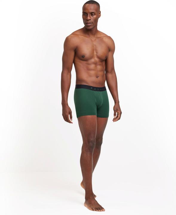 Produktbild Falke 2-Pack Herren (L, 2er Pack)