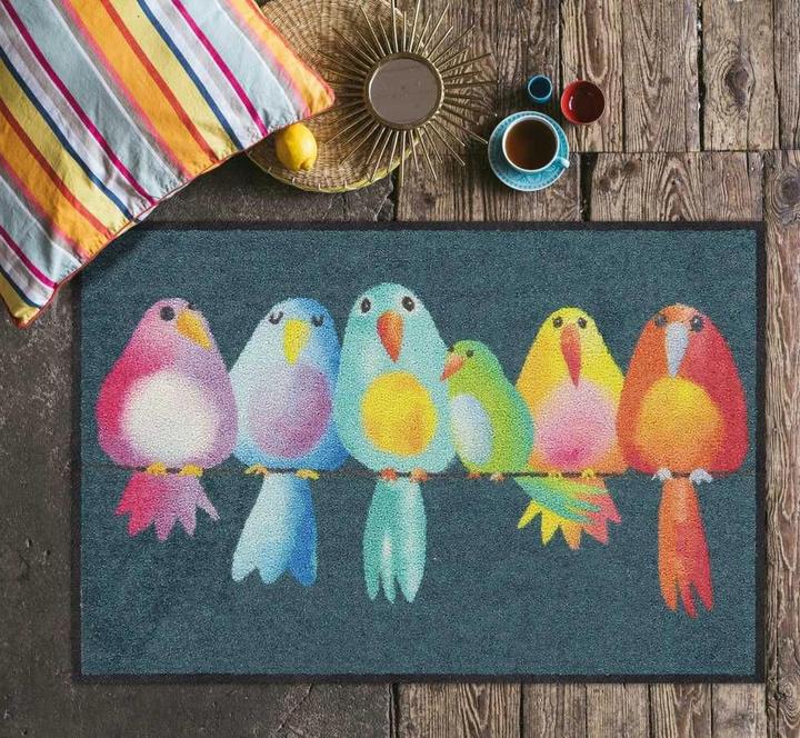Produktbild Salonloewe Fussmatte Rainbow Birds 50 cm x 75 cm (50 x 75 cm)