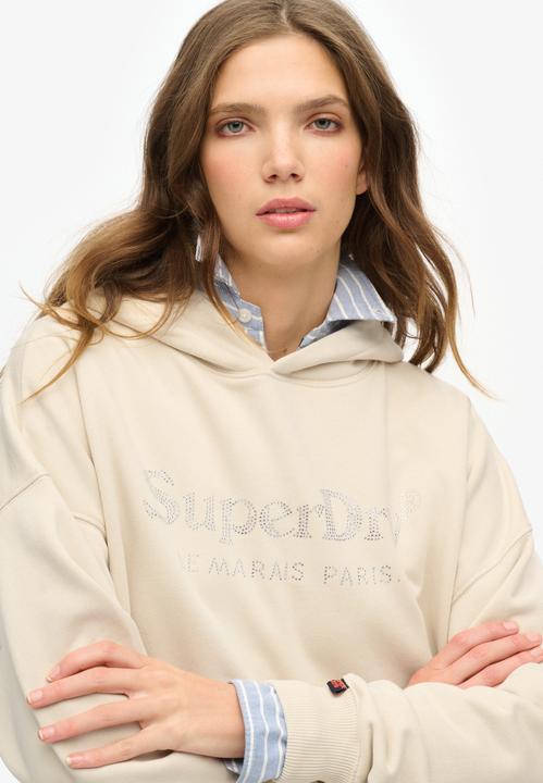 Immagine prodotto Superdry Lässiges Venue Hoodie in Metallic-Optik (12)