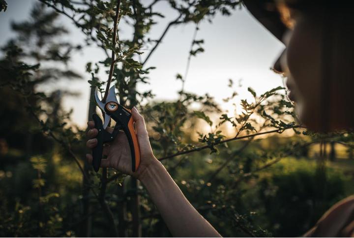 Actual product image Fiskars Plus PowerLever Bypass Secateurs P721
