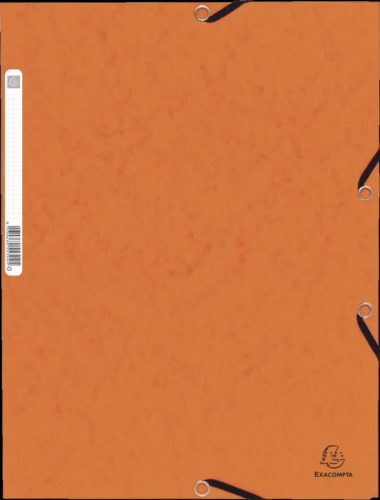 Exacompta Rubber band folder (A4, 1 x)