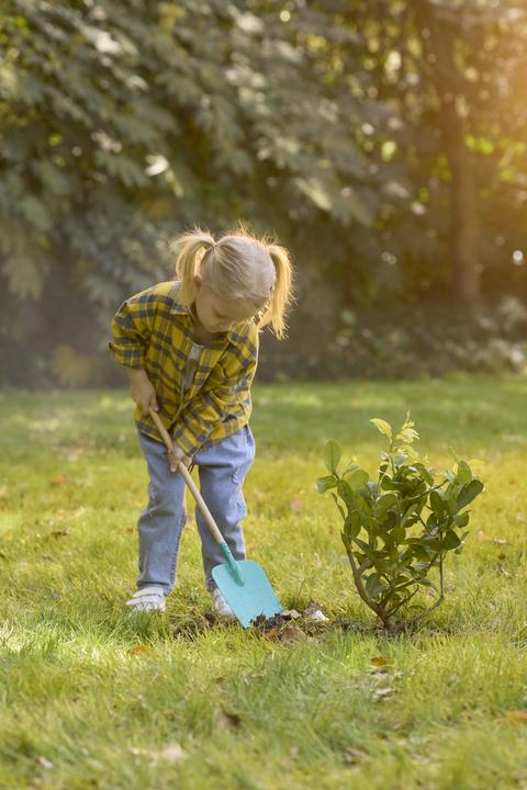 Actual product image Hape Garden Spade