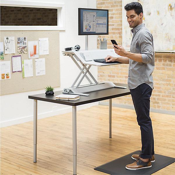 Image du produit Fellowes Lotus DX