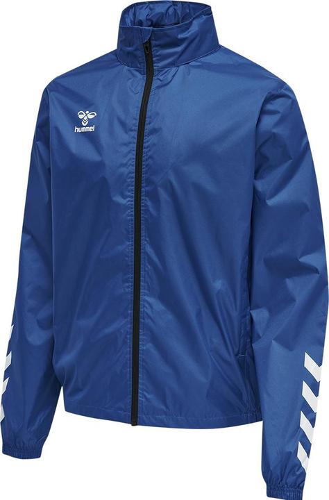 Trueblue